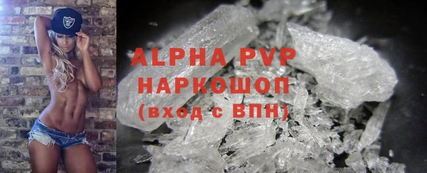 молекула духа Елизово